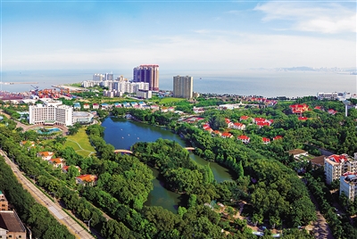 1565514278132989.jpg 2.jpg